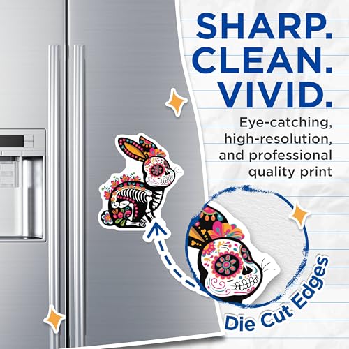 (2 Pack) Folk Art Skeleton Decor Magnet - Colorful Sugar Skull Bunny Design - 5" On Longest Side - Sticks to Smooth Flat Surfaces - Made in USA - MAG9466