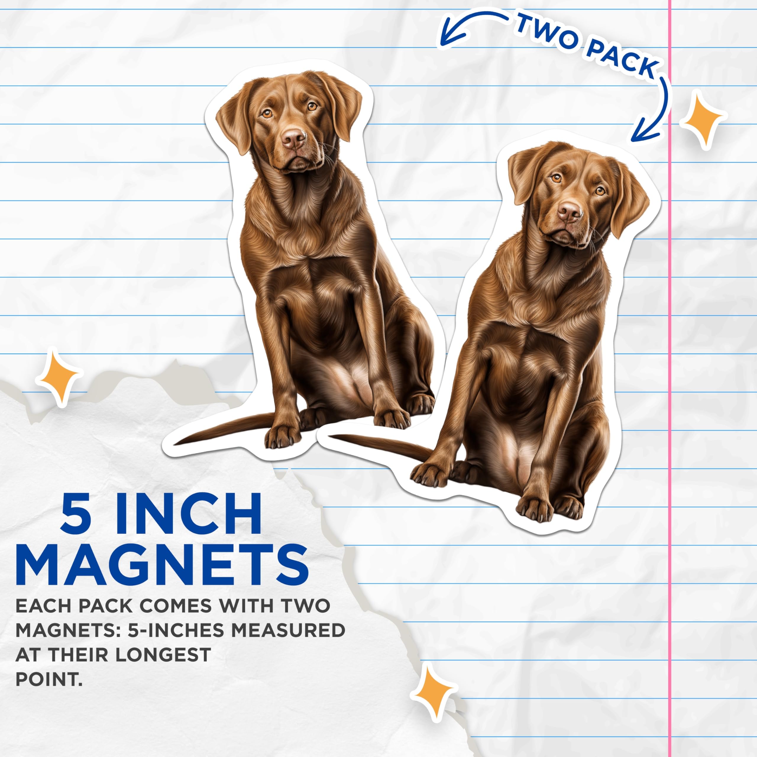 (2 Pack) Chocolate Lab Magnets - Labrador Retriever Decor - Dog Art for Fridge - Pet Owner Display - 5 Inches On Longest Side - Thick Durable Magnet - Made in USA - MAG23975