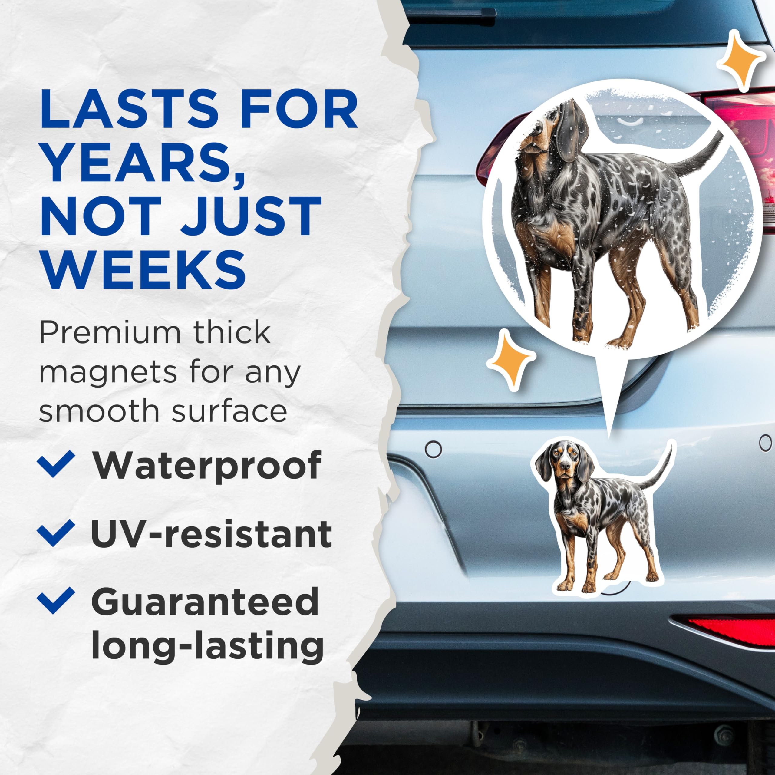 (2 Pack) Bluetick Coonhound Magnets - Hound Dog Lover - Dog Breed Art - 5 Inches On Longest Side - Thick Durable Magnet - Made in USA - MAG28155