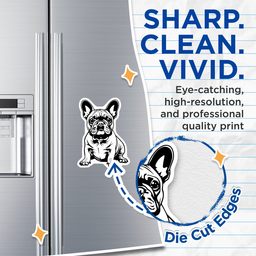 (2 Pack) French Bulldog Magnets - Adorable Frenchie Puppy Decor - Dog Lover Home Accessory - Frenchie Mom Dad - 5 Inches On Longest Side - Thick Durable Magnet - Made in USA - MAG37127