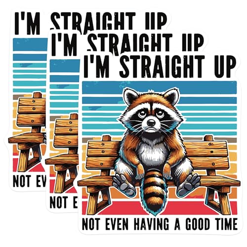 (3 Pack) Moody Raccoon Decals - Funny Animal Stickers - Laptop Decals - 3 Inches On Longest Side - Easy Peel & Apply - Made in USA - 3MCS0932