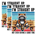 (3 Pack) Moody Raccoon Decals - Funny Animal Stickers - Laptop Decals - 3 Inches On Longest Side - Easy Peel & Apply - Made in USA - 3MCS0932