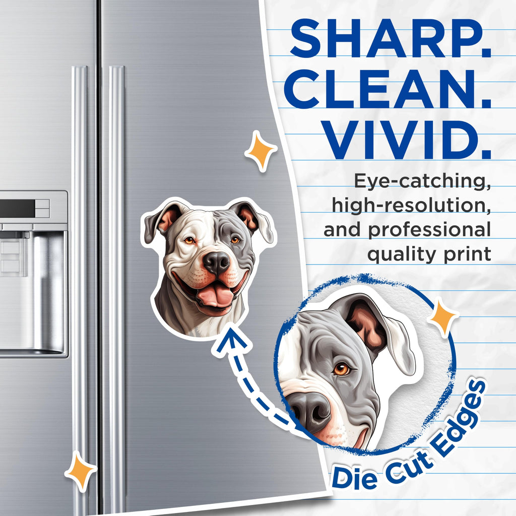 (2 Pack) Pitbull Dog Magnets - Smiling American Pitbull Terrier Decor - Pet Owner Kitchen Fridge Locker Animal Art Accessory - 5 Inches On Longest Side - Thick Durable Magnet - Made in USA - MAG23372