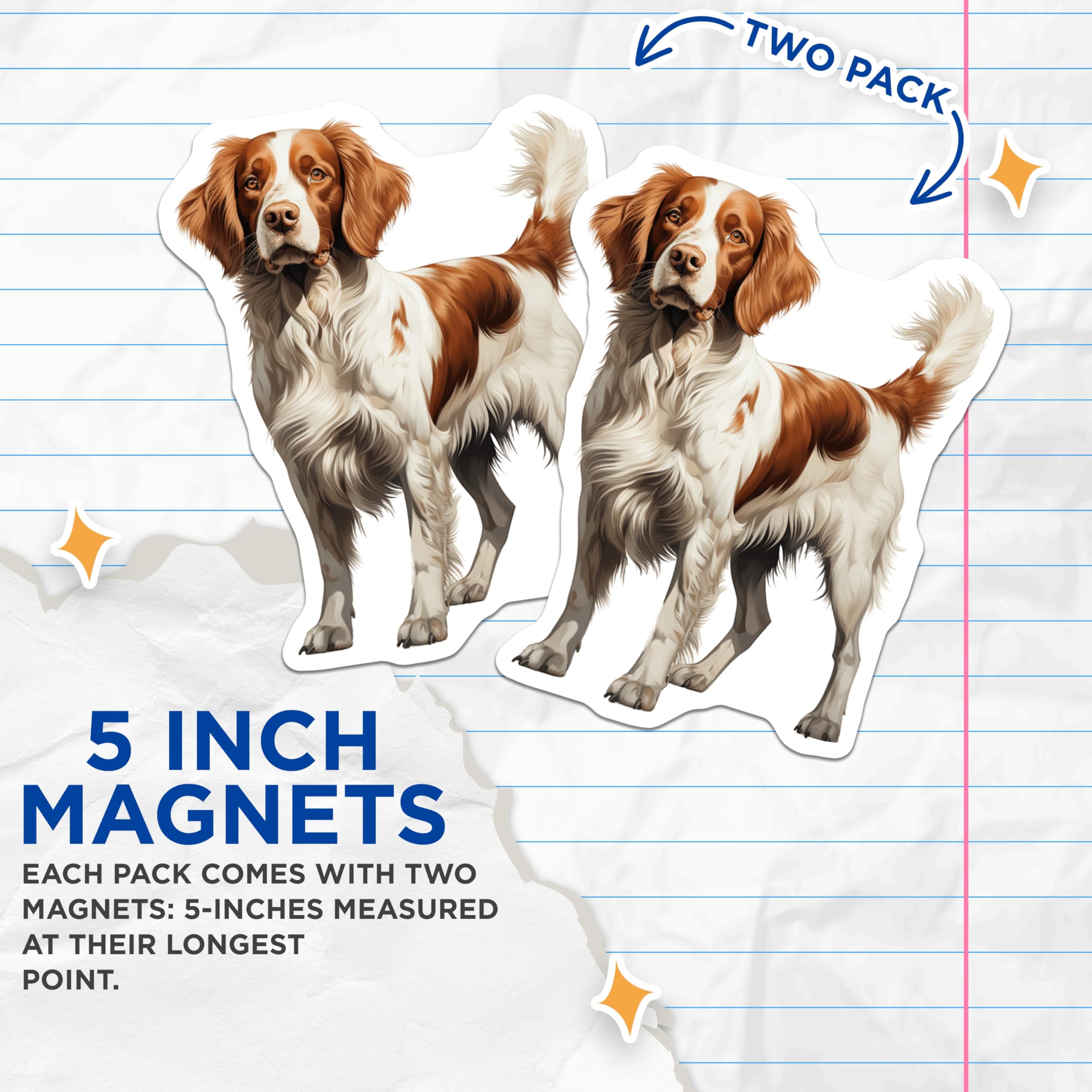 (2 Pack) Brittany Spaniel Magnets - Dog Lover Decor - Canine Breed Collectible - 5 Inches On Longest Side - Thick Durable Magnet - Made in USA - MAG24743