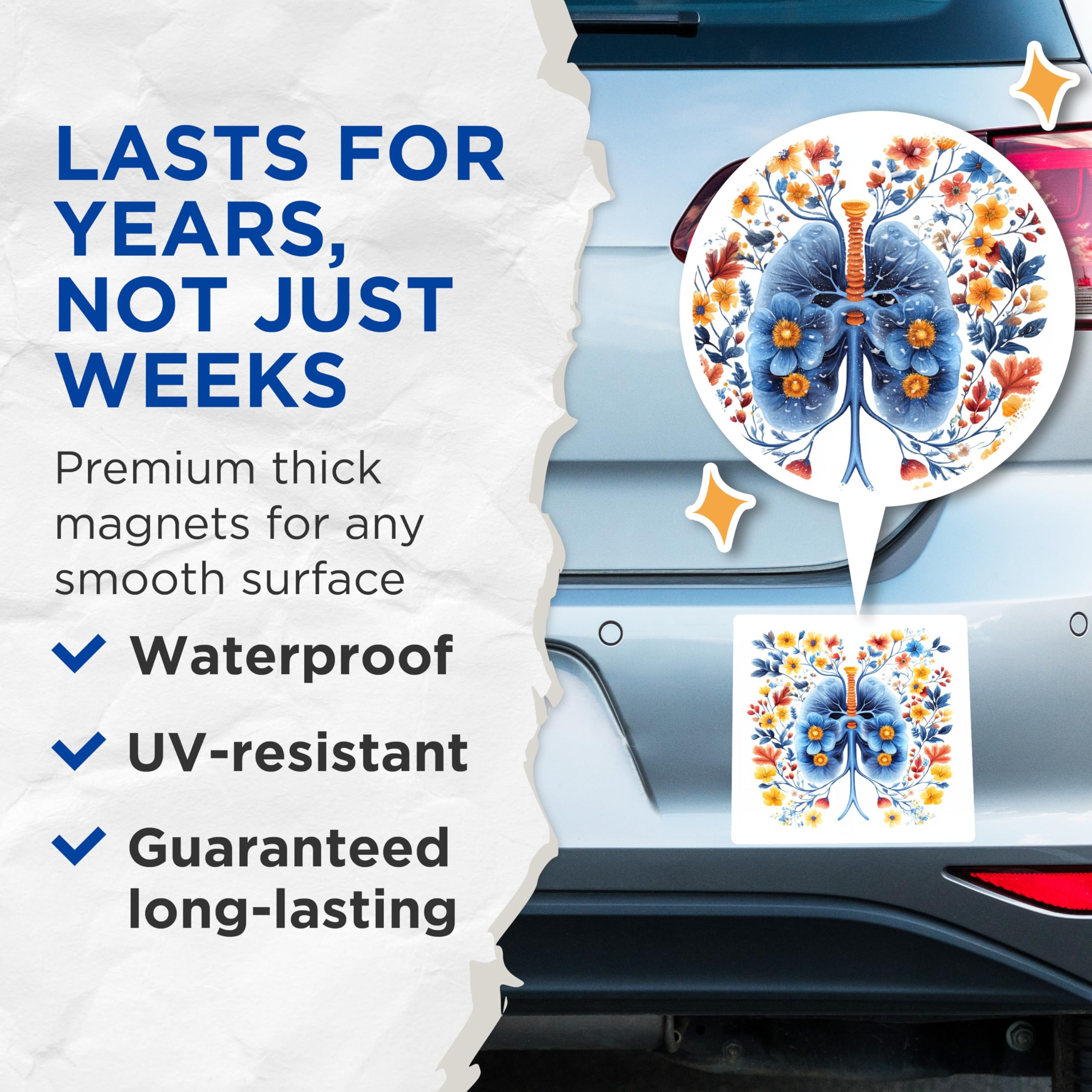 (2 Pack) Floral Lungs Magnets - Medical Student Appreciation - Respiratory System Art - Wellness Decor - 5 Inches On Longest Side - Thick Durable Magnet - Made in USA - MAG25007