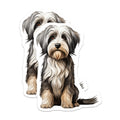 (2 Pack) Fluffy Dog Magnets - Havanese Puppy Pet Owner - Cute Animal Fridge Decor for Dog Moms - 5 Inches On Longest Side - Thick Durable Magnet - Made in USA - MAG25920