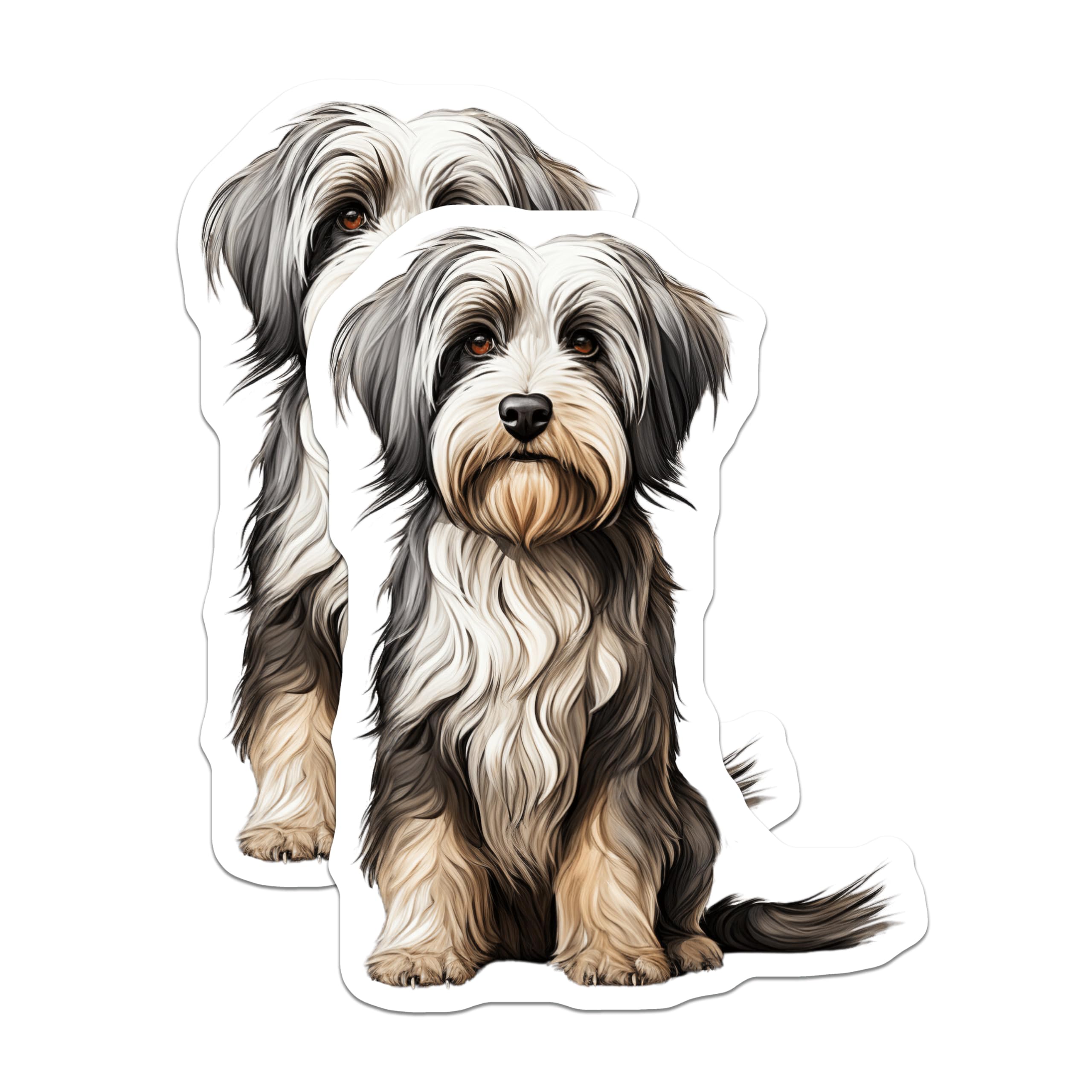 (2 Pack) Fluffy Dog Magnets - Havanese Puppy Pet Owner - Cute Animal Fridge Decor for Dog Moms - 5 Inches On Longest Side - Thick Durable Magnet - Made in USA - MAG25920