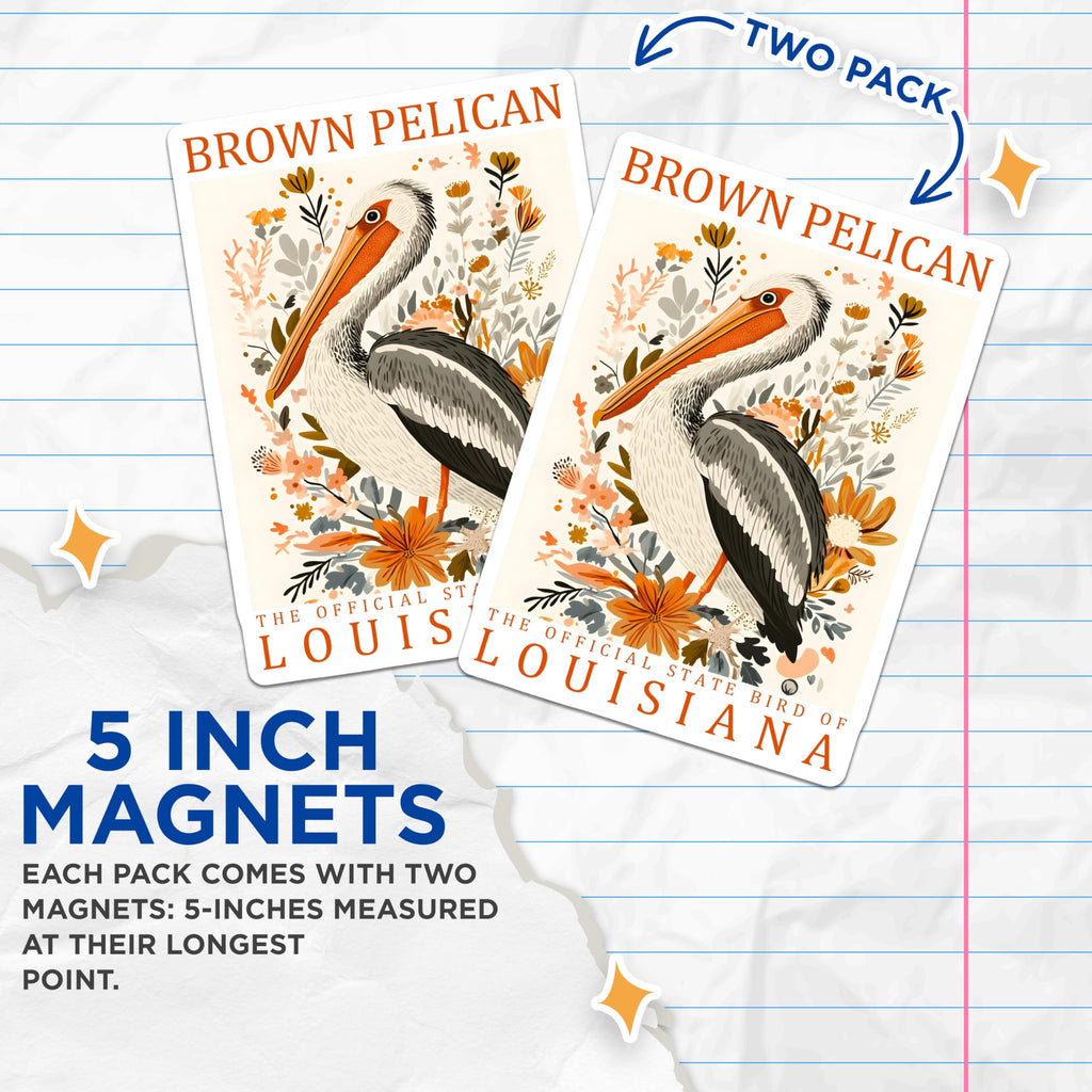 (2 Pack) Brown Pelican Magnets - Louisiana State Bird Art - Floral Bird Illustration - 5" On Longest Side - Premium Magnet - for Cars, Refrigerators, Toolboxes, Lockers - Made in USA - MAG17897