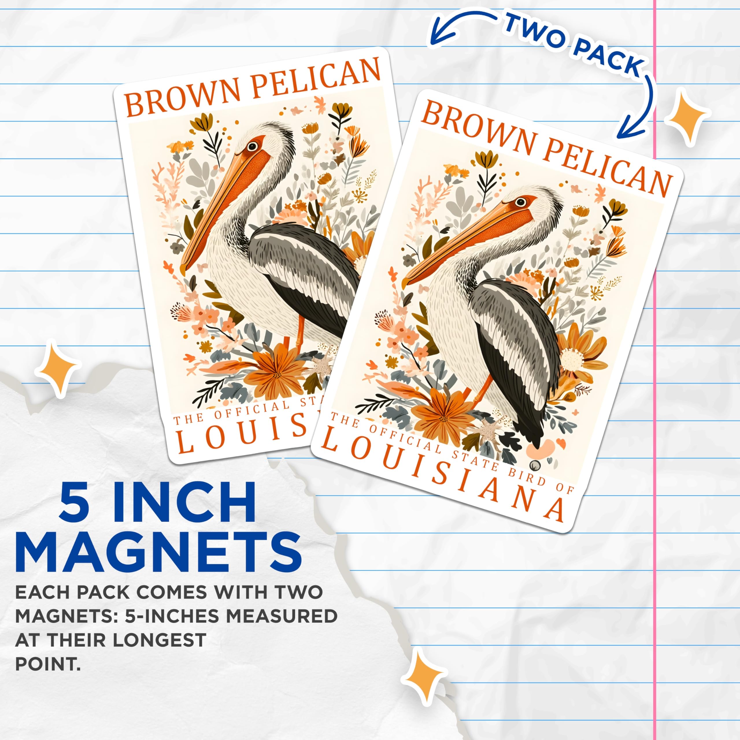 (2 Pack) Brown Pelican Magnets - Louisiana State Bird Art - Floral Bird Illustration - 5" On Longest Side - Premium Magnet - for Cars, Refrigerators, Toolboxes, Lockers - Made in USA - MAG17897