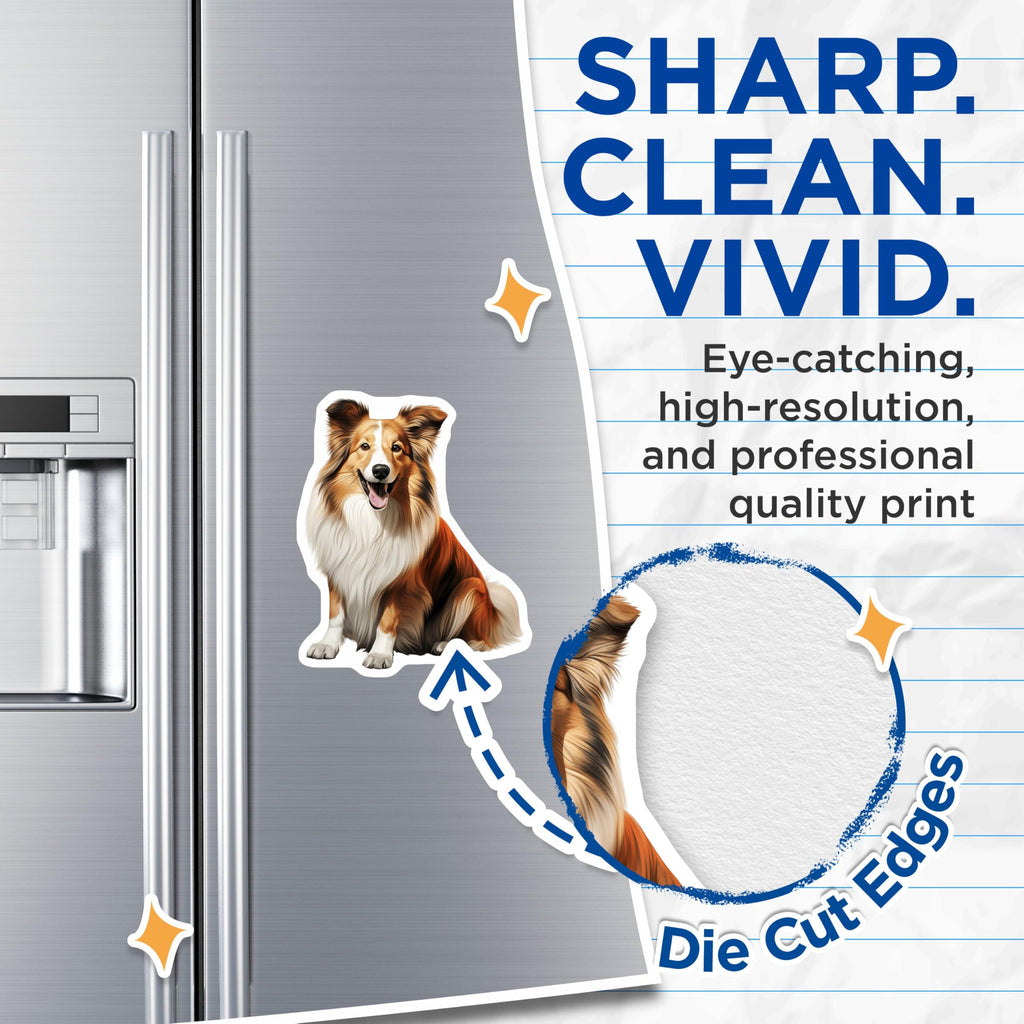 (2 Pack) Sheltie Dog Magnets - Smiling Shetland Sheepdog Art - Beloved Canine Companion Refrigerator Display - 5 Inches On Longest Side - Thick Durable Magnet - Made in USA - MAG23655