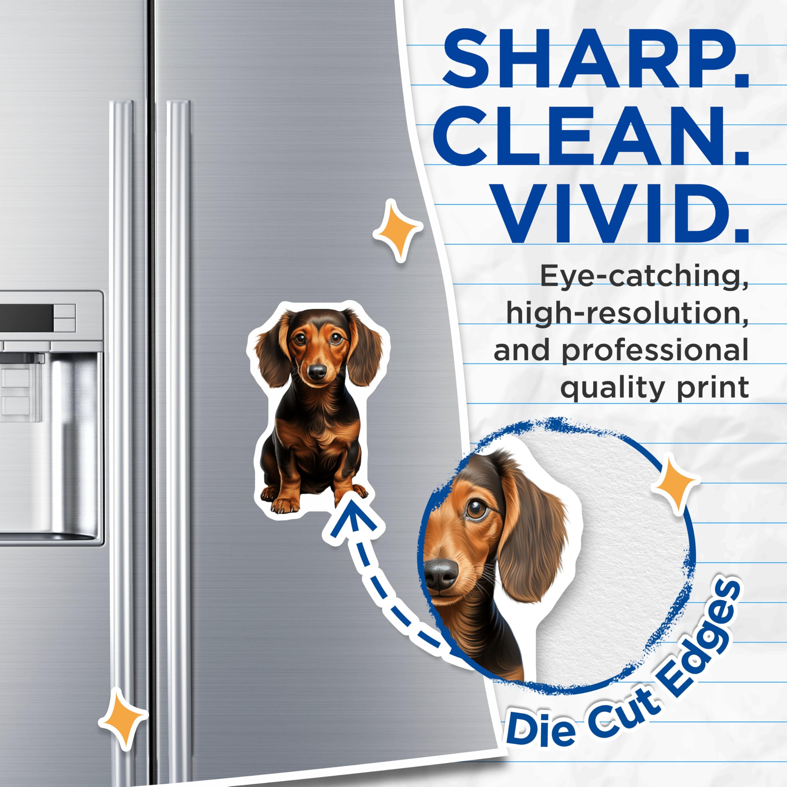 (2 Pack) Long Haired Dachshund Magnets - Doxie Lover Decor - Dog Mom Fridge Art - 5 Inches On Longest Side - Thick Durable Magnet - Made in USA - MAG26086