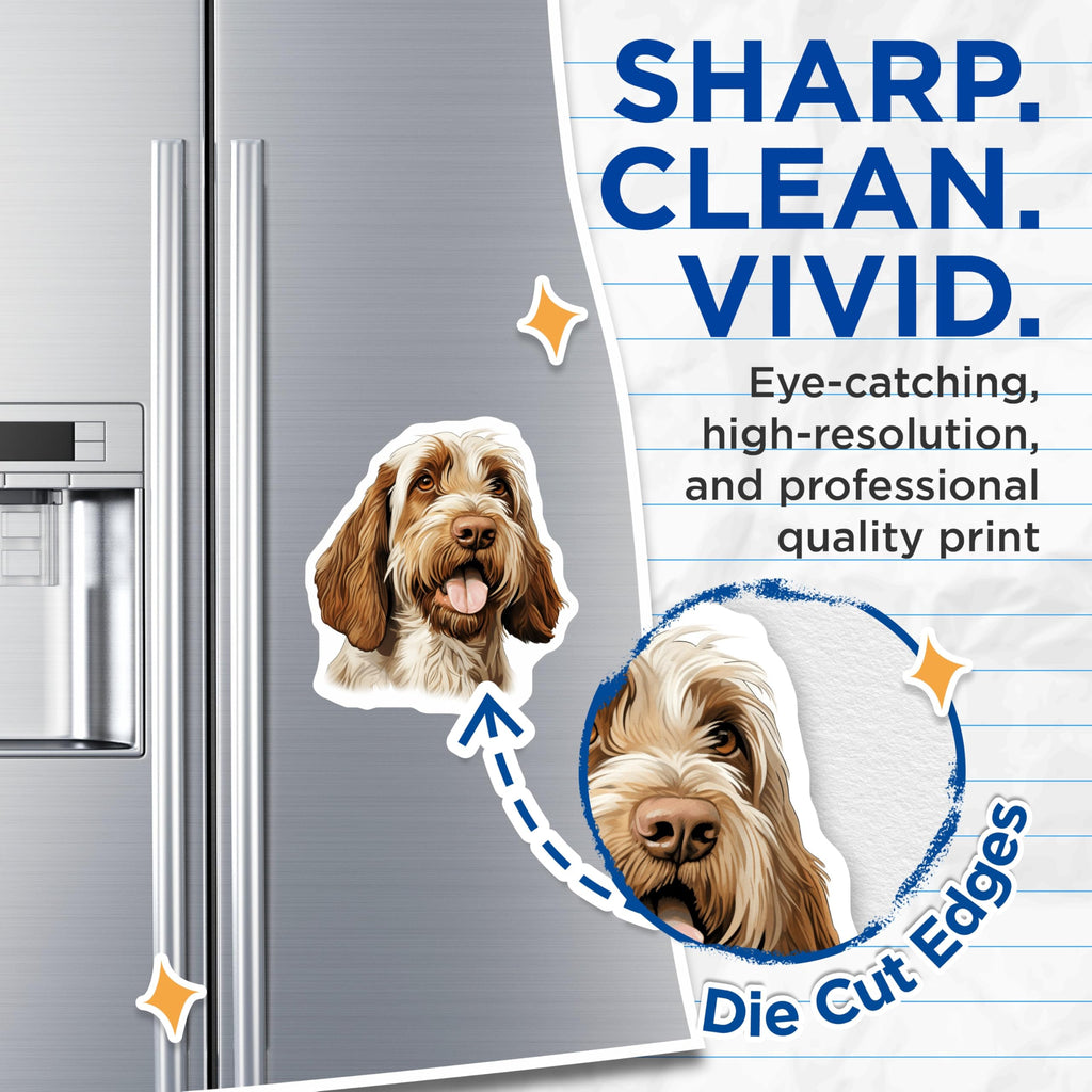 (2 Pack) Spinone Italiano Magnets - Beloved Dog Breed Art Decor - Pet Animal Fridge Magnet Set - Italian Dog Parent Accessory - 5 Inches On Longest Side - Thick Durable Magnet - Made in USA - MAG23767