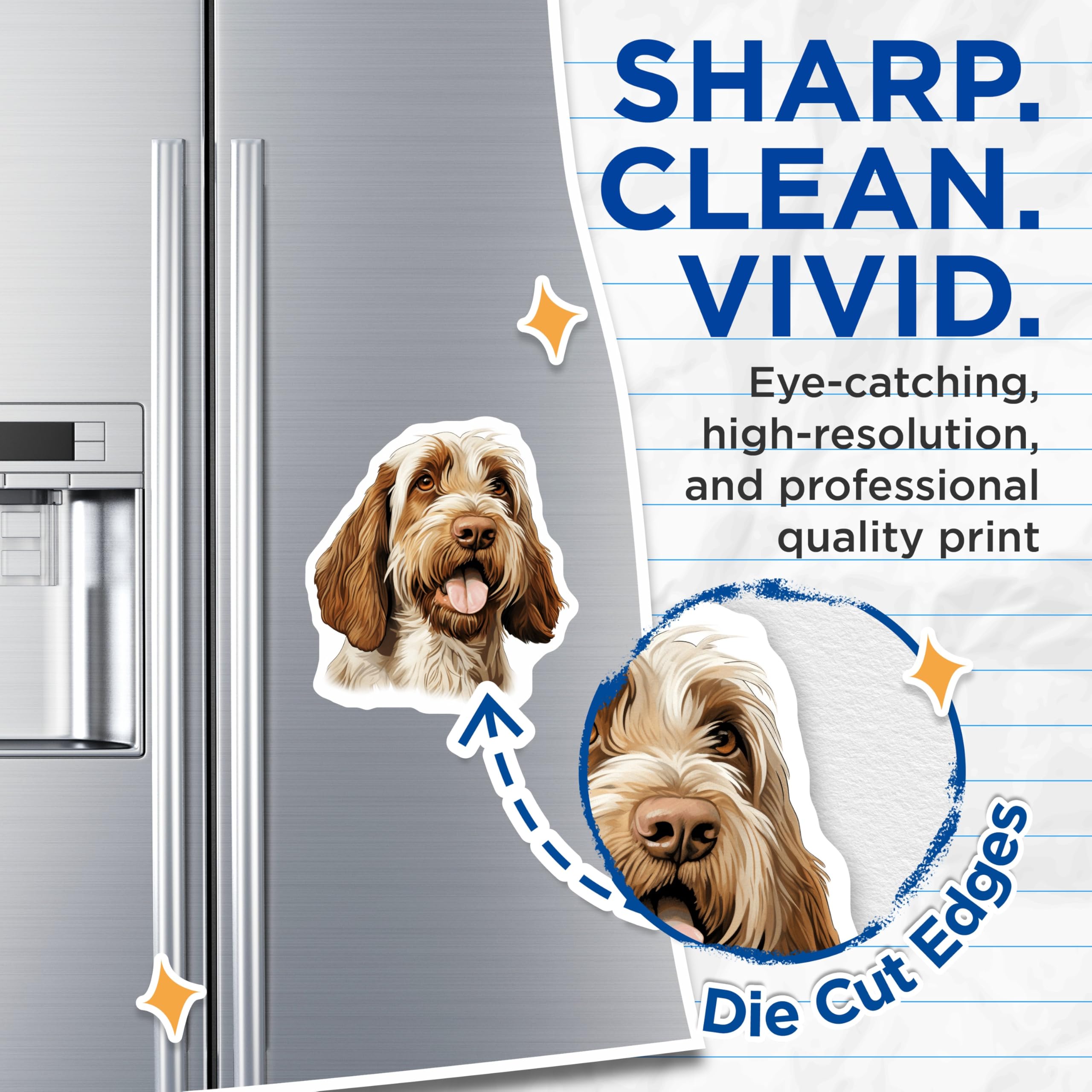 (2 Pack) Spinone Italiano Magnets - Beloved Dog Breed Art Decor - Pet Animal Fridge Magnet Set - Italian Dog Parent Accessory - 5 Inches On Longest Side - Thick Durable Magnet - Made in USA - MAG23767