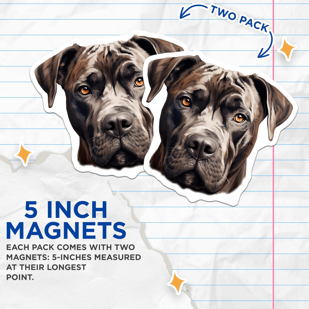 (2 Pack) Cane Corso Magnets - Powerful Dog Lover Decor - Pet Owner Kitchen Art - 5 Inches On Longest Side - Thick Durable Magnet - Made in USA - MAG24952