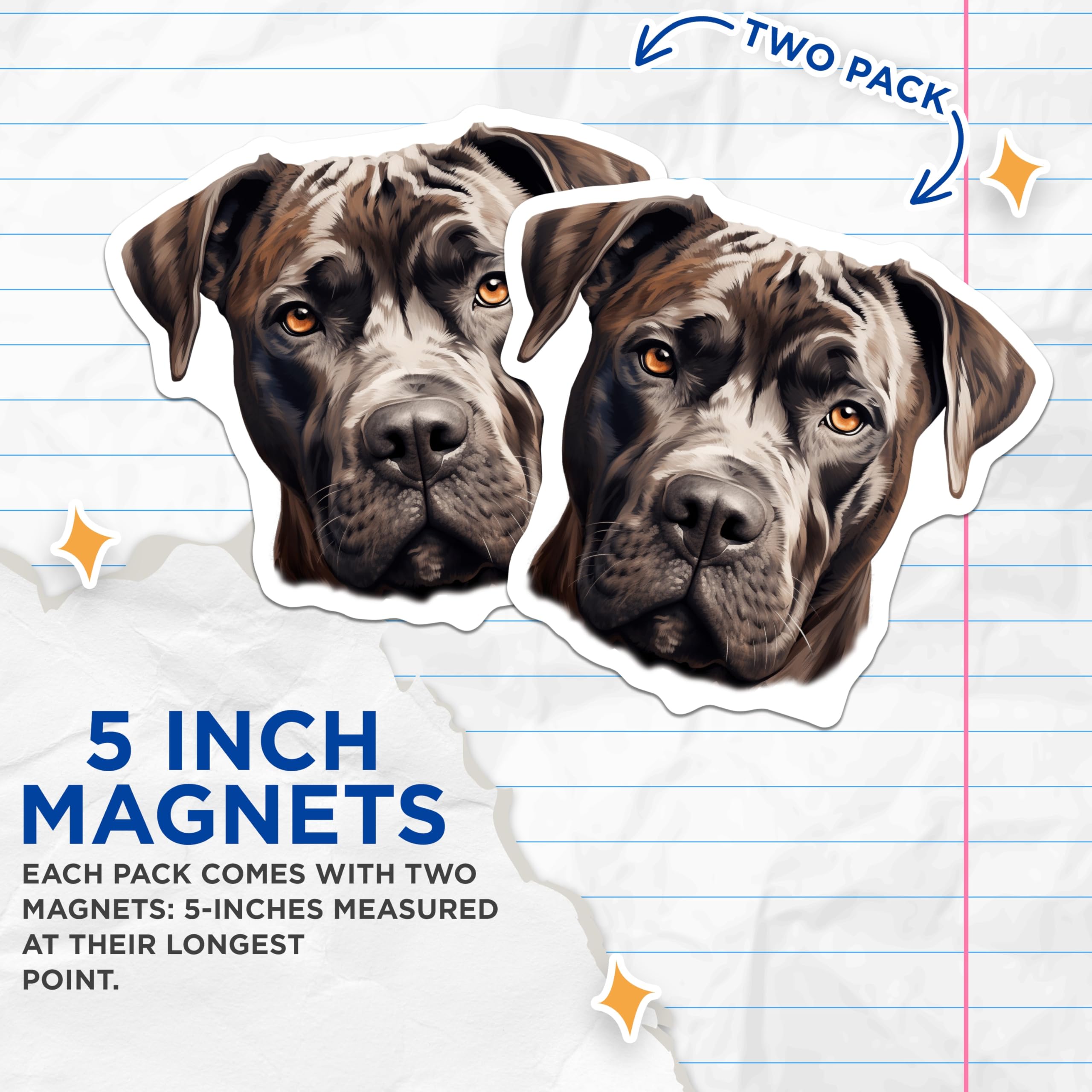 (2 Pack) Cane Corso Magnets - Powerful Dog Lover Decor - Pet Owner Kitchen Art - 5 Inches On Longest Side - Thick Durable Magnet - Made in USA - MAG24952