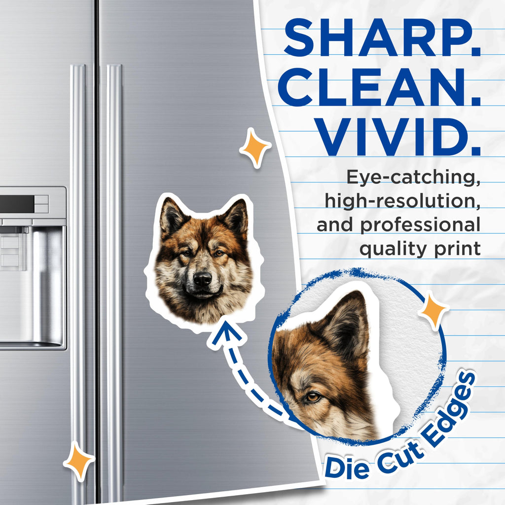 (2 Pack) Husky Dog Magnets - Realistic Animal Portrait Art - Pet Lover Fridge Decor - Malamute Wolfdog - 5 Inches On Longest Side - Thick Durable Magnet - Made in USA - MAG29627