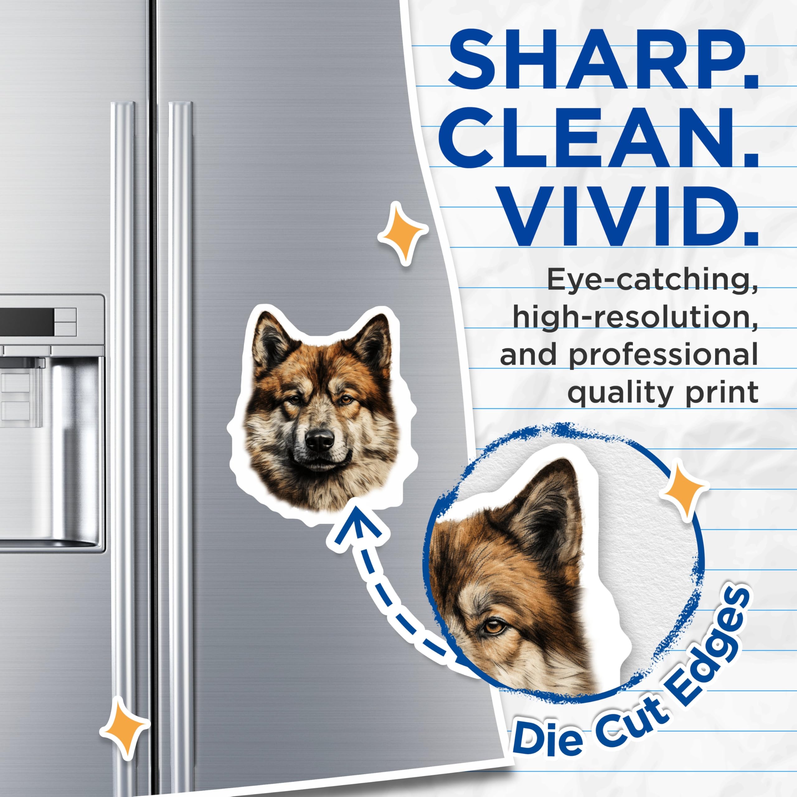 (2 Pack) Husky Dog Magnets - Realistic Animal Portrait Art - Pet Lover Fridge Decor - Malamute Wolfdog - 5 Inches On Longest Side - Thick Durable Magnet - Made in USA - MAG29627