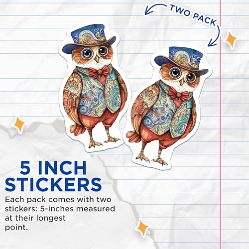 (2 Pack) Cute Owl Stickers - Artistic Owl Design - Whimsical Animal Stickers - 5" On Longest Side - Sticks to Smooth Flat Surfaces - Made in USA - BMCS9515