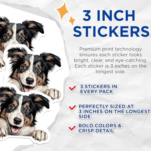 (3 Pack) Australian Shepherd Decals - Dog Breed Stickers - Laptop Decals - 3 Inches On Longest Side - Easy Peel & Apply - Made in USA - 3MCS8703