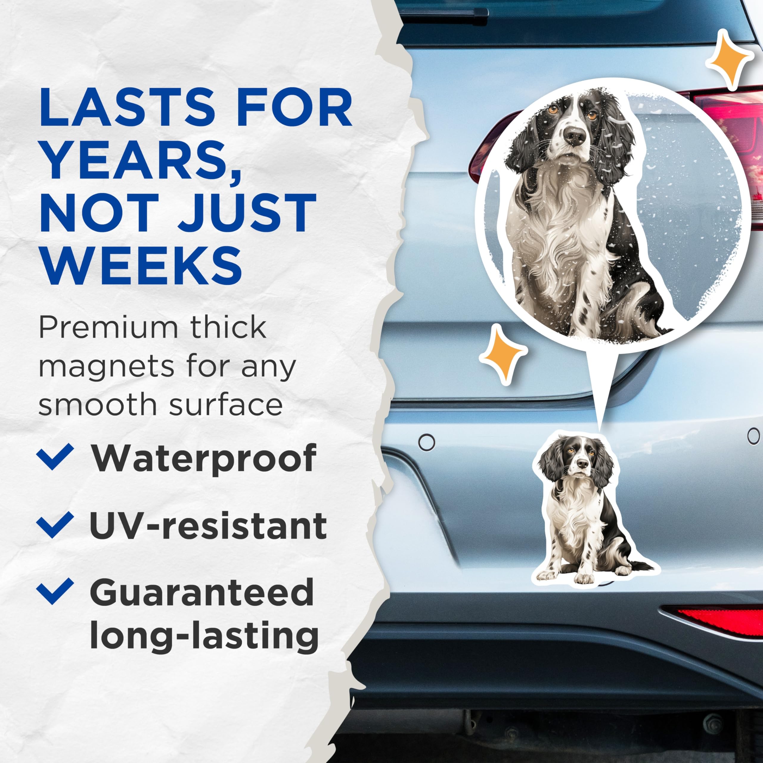 (2 Pack) Springer Spaniel Dog Magnets - Black White Canine Art - Pet Lover Refrigerator Decor - Spaniel Owner Housewarming - 5 Inches On Longest Side - Thick Durable Magnet - Made in USA - MAG29076