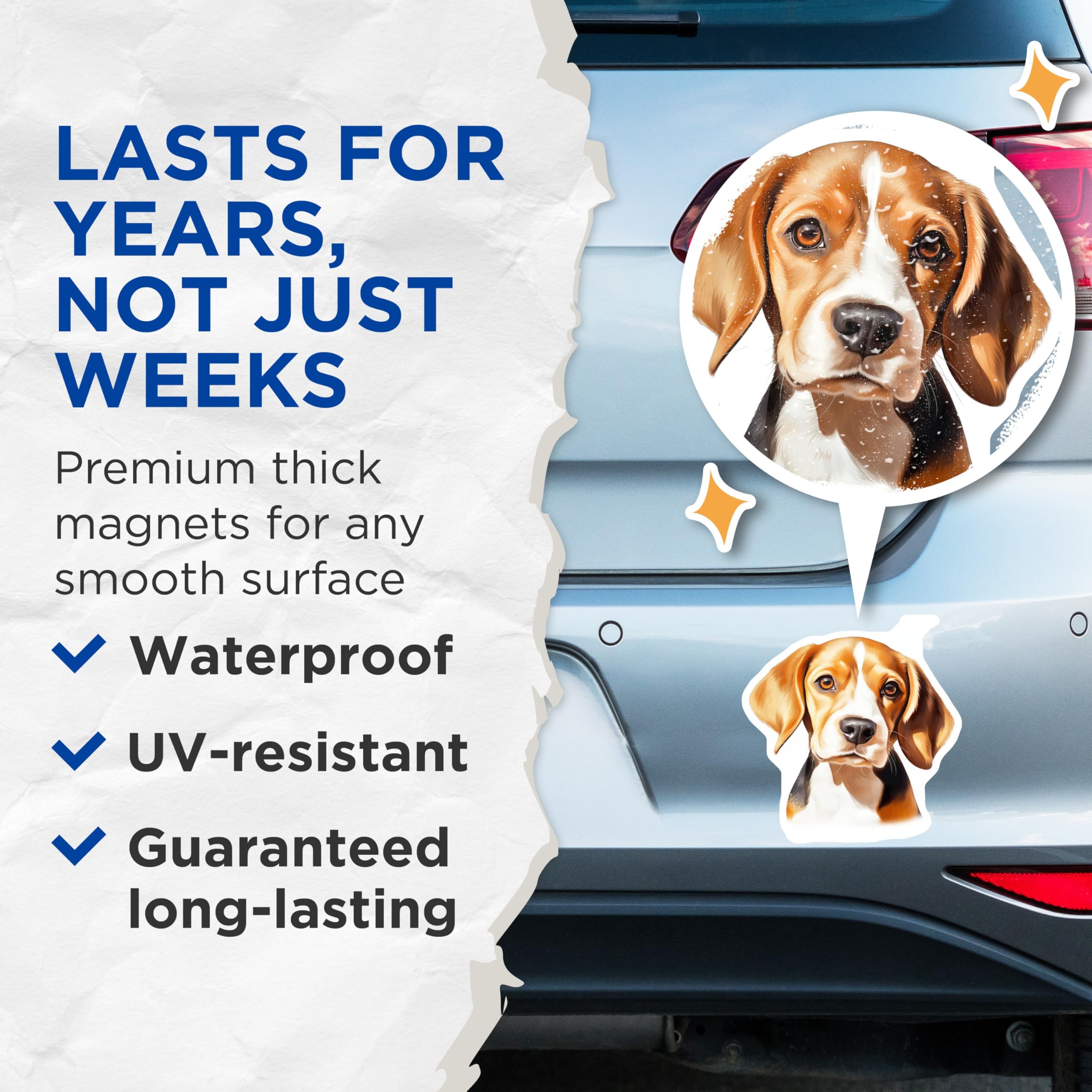 (2 Pack) Beagle Puppy Magnets - Cute Dog Lover Fridge Decor - Pet Animal Enthusiast Accessory - 5 Inches On Longest Side - Thick Durable Magnet - Made in USA - MAG27786