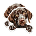 (2 Pack) Animal Lover Decor Magnet - 5" On Longest Side - Sticks to Smooth Flat Surfaces - Made in USA - MAG10176