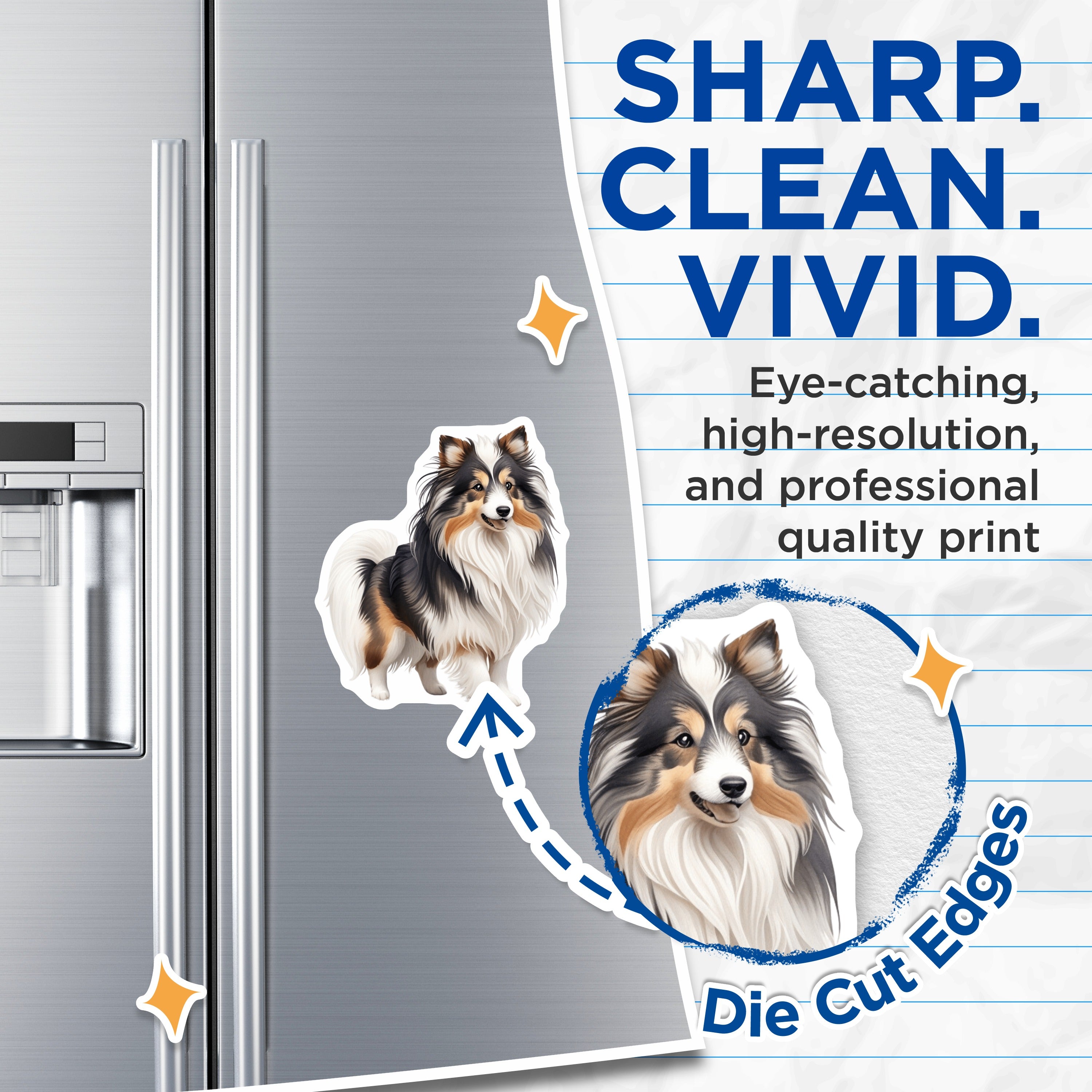 (2 Pack) Shetland Sheepdog Magnets - Sheltie Dog Owner Decor - Pet Lover Fridge Accessory - 5 Inches On Longest Side - Thick Durable Magnet - Made in USA - MAG38962