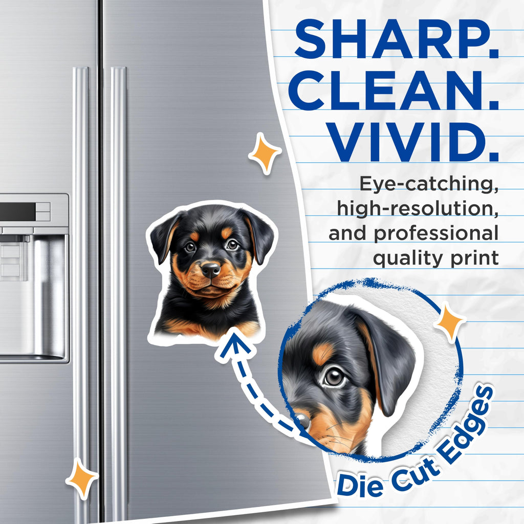 (2 Pack) Rottweiler Puppy Magnets - Cute Dog Face - Pet Lover Fridge Locker Decor - 5 Inches On Longest Side - Thick Durable Magnet - Made in USA - MAG27560