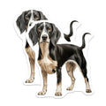 (2 Pack) Black White Spaniel Dog Magnets - Pet Portrait Refrigerator Decor - Dog Lover Home Accent - 5 Inches On Longest Side - Thick Durable Magnet - Made in USA - MAG27679