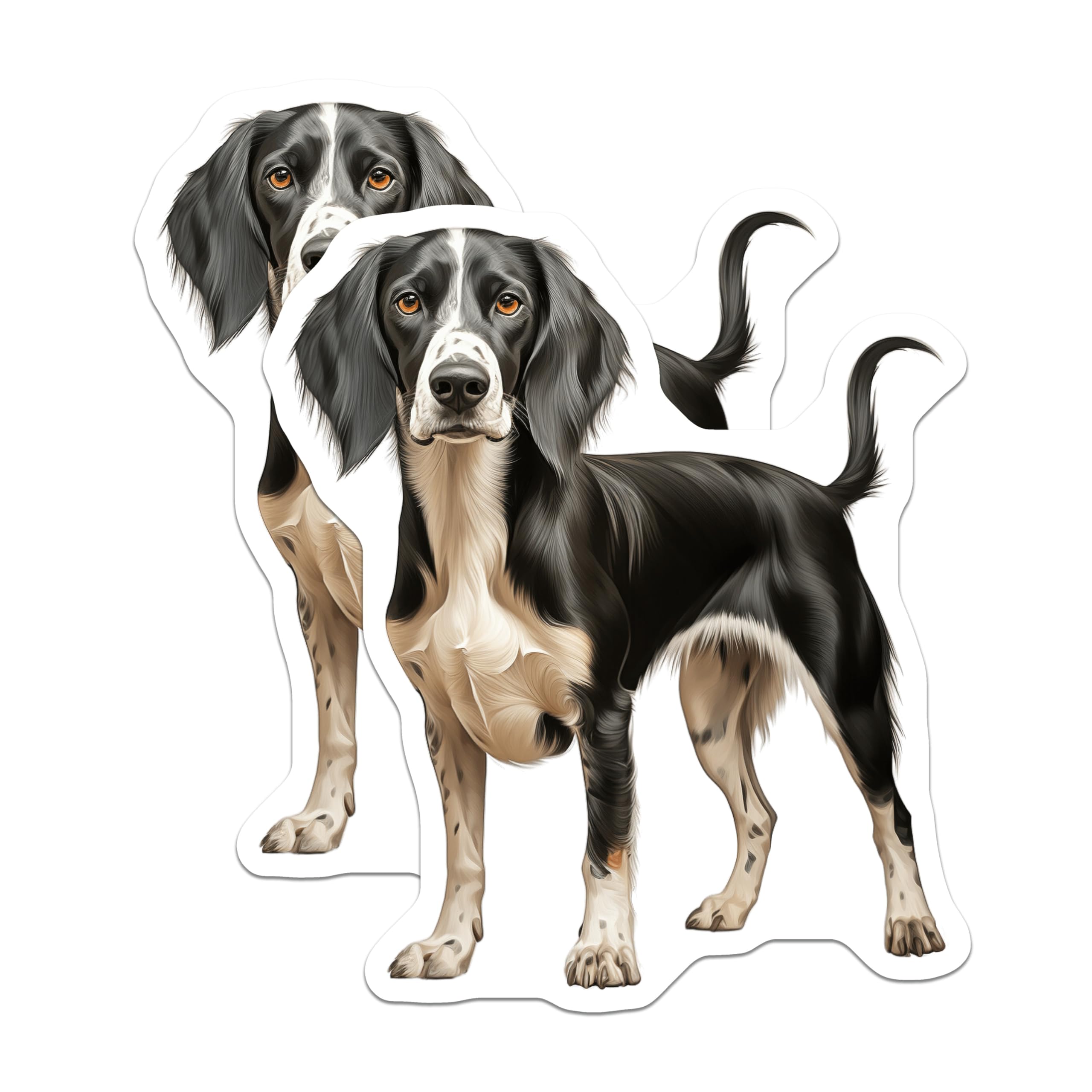 (2 Pack) Black White Spaniel Dog Magnets - Pet Portrait Refrigerator Decor - Dog Lover Home Accent - 5 Inches On Longest Side - Thick Durable Magnet - Made in USA - MAG27679