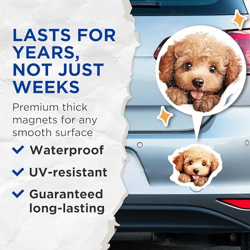 (2 Pack) Adorable Pet Magnet - Fridge Decor - Animal Lover - Puppy Enthusiast - 5" On Longest Side - Sticks to Smooth Flat Surfaces - Made in USA - MAG10254