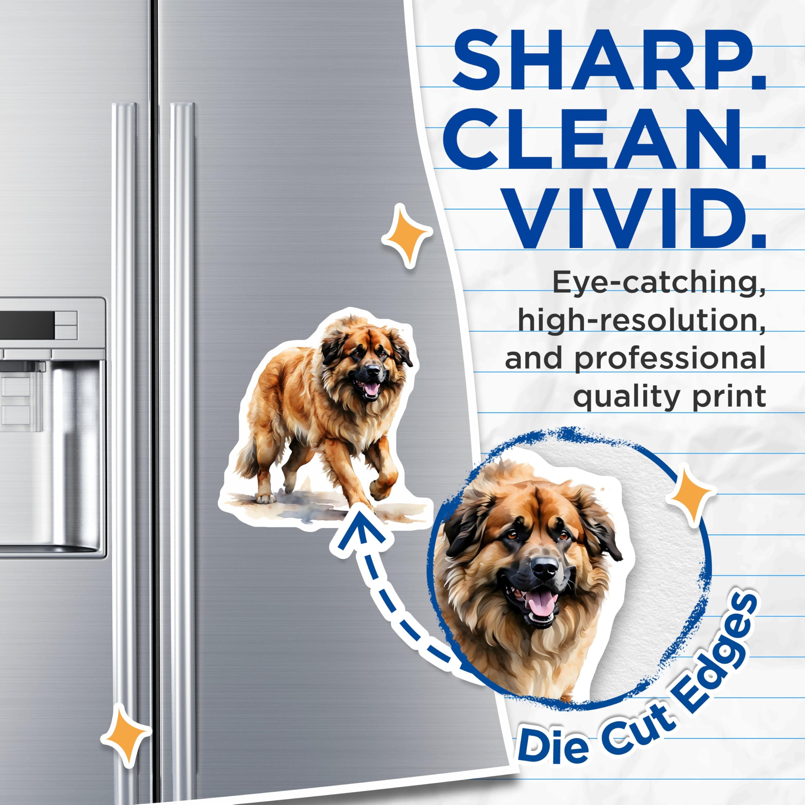 (2 Pack) Leonberger Dog Magnets - Large Dog Breed - Dog Lover Decor - 5" On Longest Side - Premium Magnet - for Cars, Refrigerators, Toolboxes, Lockers - Made in USA - MAG15731