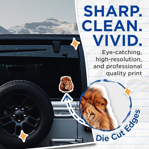 (2 Pack) Lion Face Art Stickers - Wild Animal Decal - Big Cat Sticker for Water Bottles - 5" On Longest Side - Sticks to Smooth Flat Surfaces - Made in USA - BMCS4265