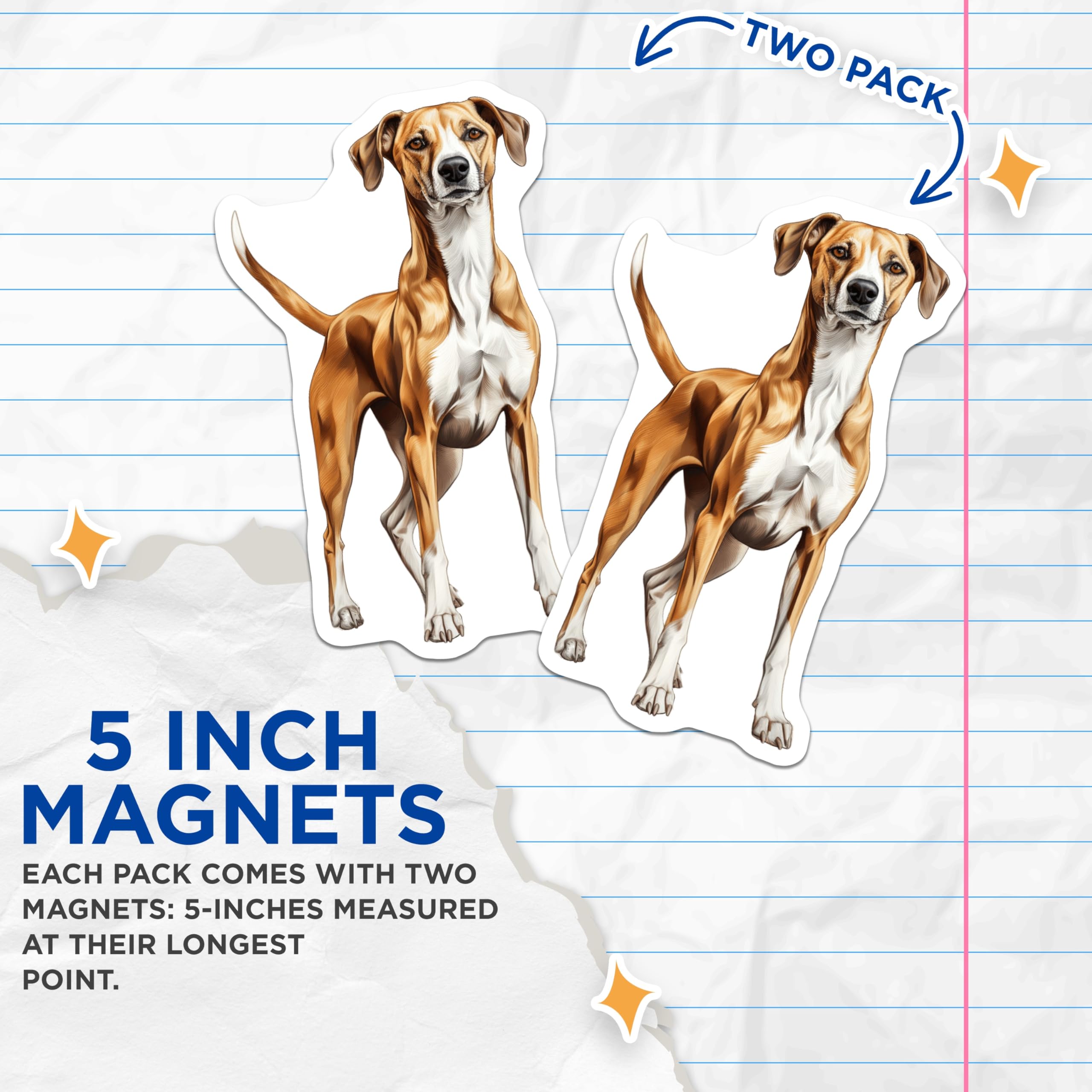 (2 Pack) Hound Dog Magnets - Dog Lover Decor - Pet Owner Kitchen Art - 5 Inches On Longest Side - Thick Durable Magnet - Made in USA - MAG29653