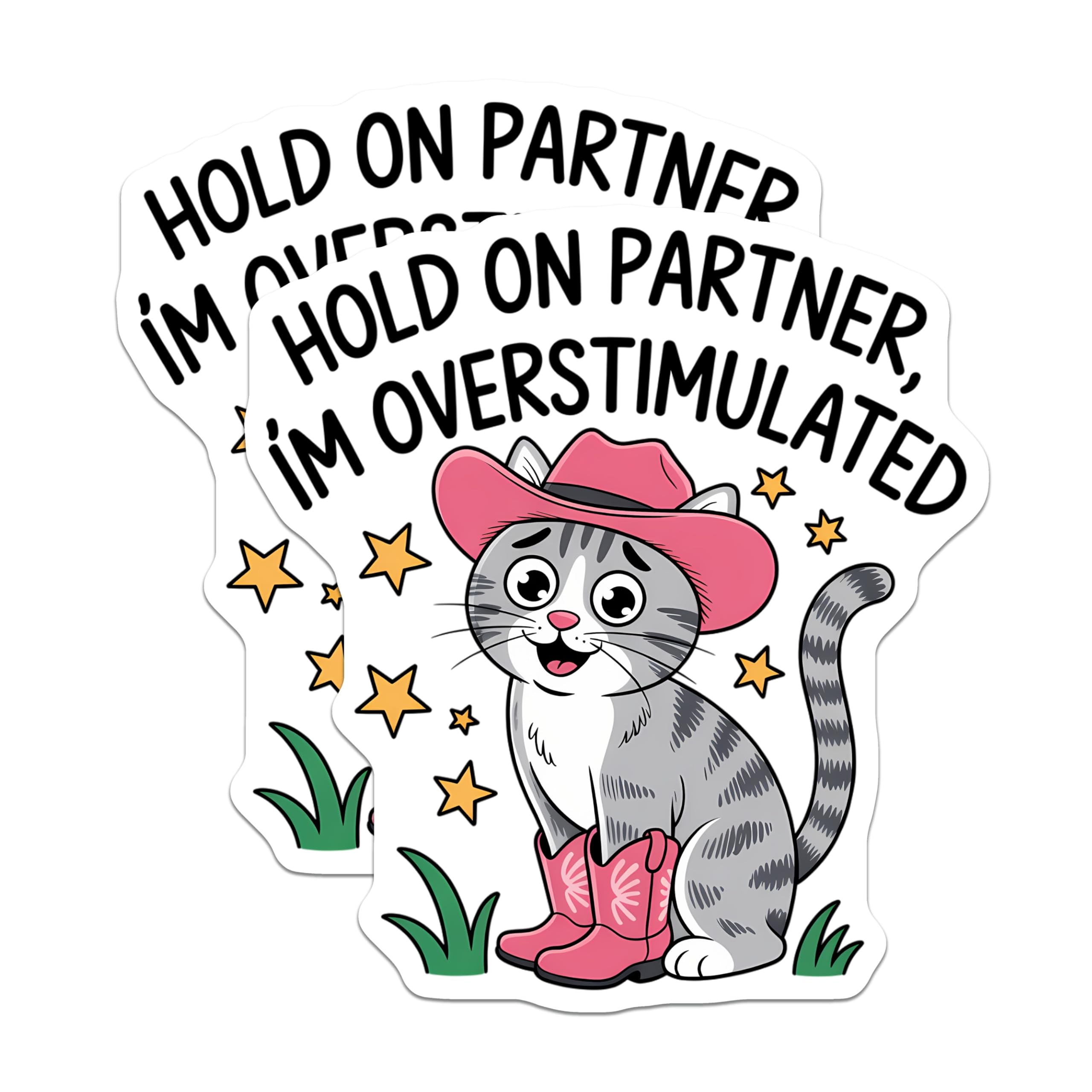 (2 Pack) Funny Overstimulated Cat Magnets - Western Kitty Humor - Neurodivergent Statement Magnet for Refrigerator - 5 Inches On Longest Side - Thick Durable Magnet - Made in USA - MAG20322