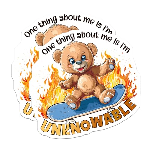 (2 Pack) Funny Teddy Bear Skateboard Magnets - Cute Bear - Office or Fridge ation - 5" On Longest Side - for Cars, Fridges, Toolboxes - Made in USA - MAG4345