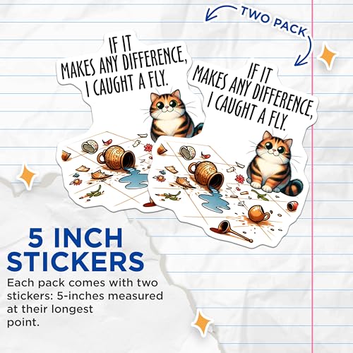 (2 Pack) Cat Humor Stickers - Funny Cat Quote Stickers - Cat Catching Fly Stickers - 5" On Longest Side - Sticks to Any Smooth Flat Surface - Made in USA - BMCS3131