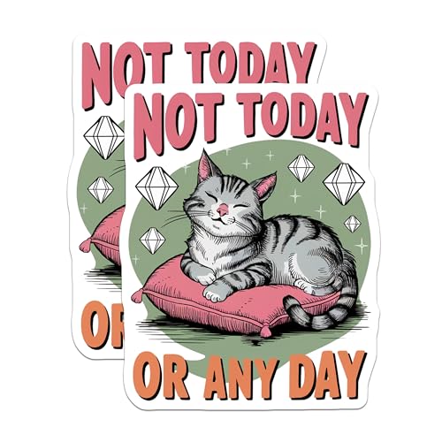 (2 Pack) Not Today or Any Day Stickers - Cute Cat Sticker - Funny Cat Meme Stickers - 5" On Longest Side - Sticks to Smooth Flat Surfaces - Made in USA - BMCS5942