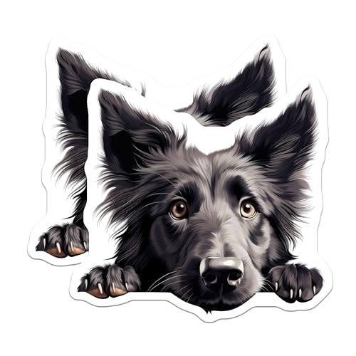 (2 Pack) Animal Lover Decor Magnet - 5" On Longest Side - Sticks to Smooth Flat Surfaces - Made in USA - MAG9861
