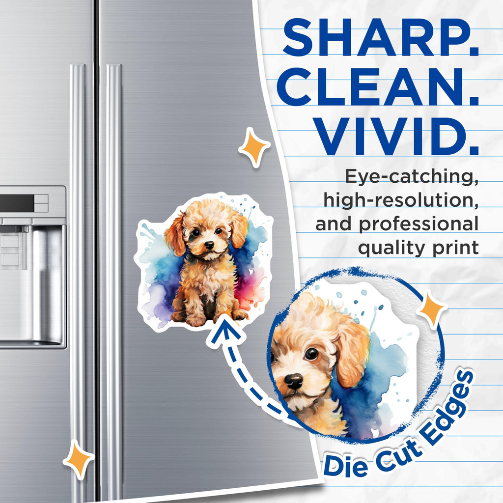 (2 Pack) Fluffy Puppy Magnets - Watercolor Poodle Dog Art - Pet Owner Fridge Locker Decoration - 5 Inches On Longest Side - Thick Durable Magnet - Made in USA - MAG28465