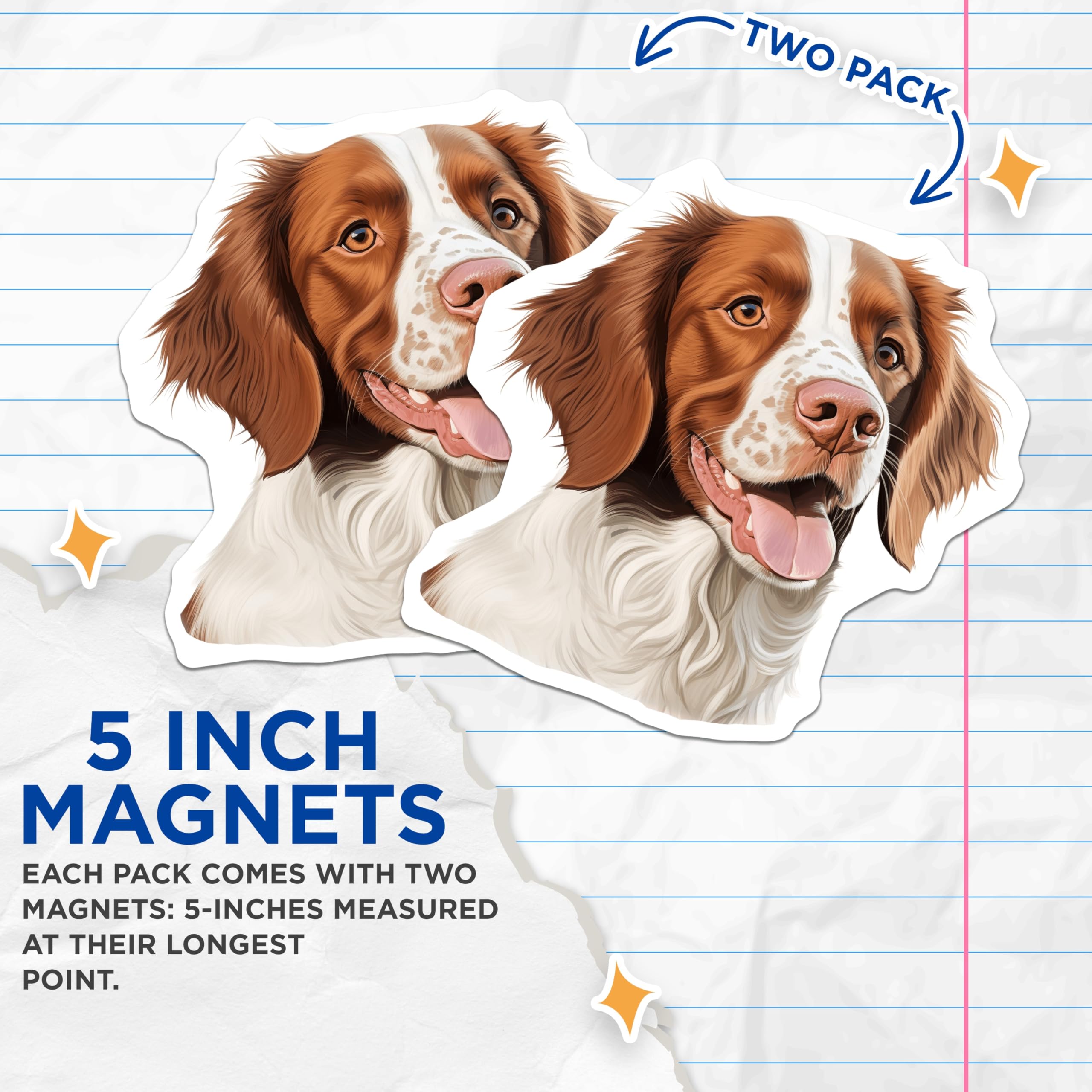 (2 Pack) Brittany Spaniel Magnets - Dog Art Illustration - Pet Lover Decor Kitchen Refrigerator - 5 Inches On Longest Side - Thick Durable Magnet - Made in USA - MAG24596