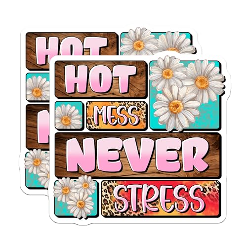 (2 Pack) Hot Mess Never Stress Stickers - Daisy Flowers - Leopard Print - 5" On Longest Side - Sticks to Smooth Flat Surfaces - Made in USA - BMCS8468