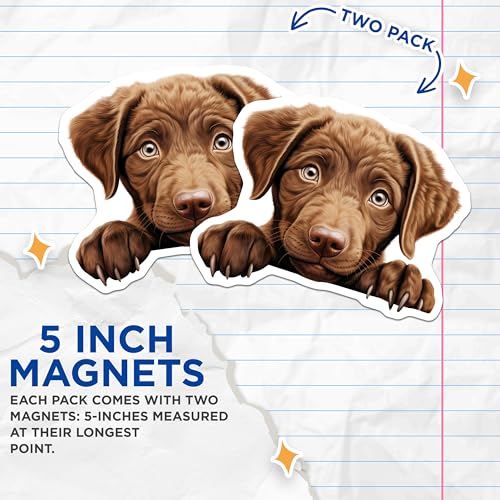 (2 Pack) Dog Lover Decor Magnet - 5" On Longest Side - Sticks to Smooth Flat Surfaces - Made in USA - MAG9928