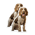 (2 Pack) Spinone Italiano Magnets - Authentic Italian Wirehaired Dog Breed Art - Canine Pet Lover Refrigerator Decor - 5 Inches On Longest Side - Thick Durable Magnet - Made in USA - MAG24708