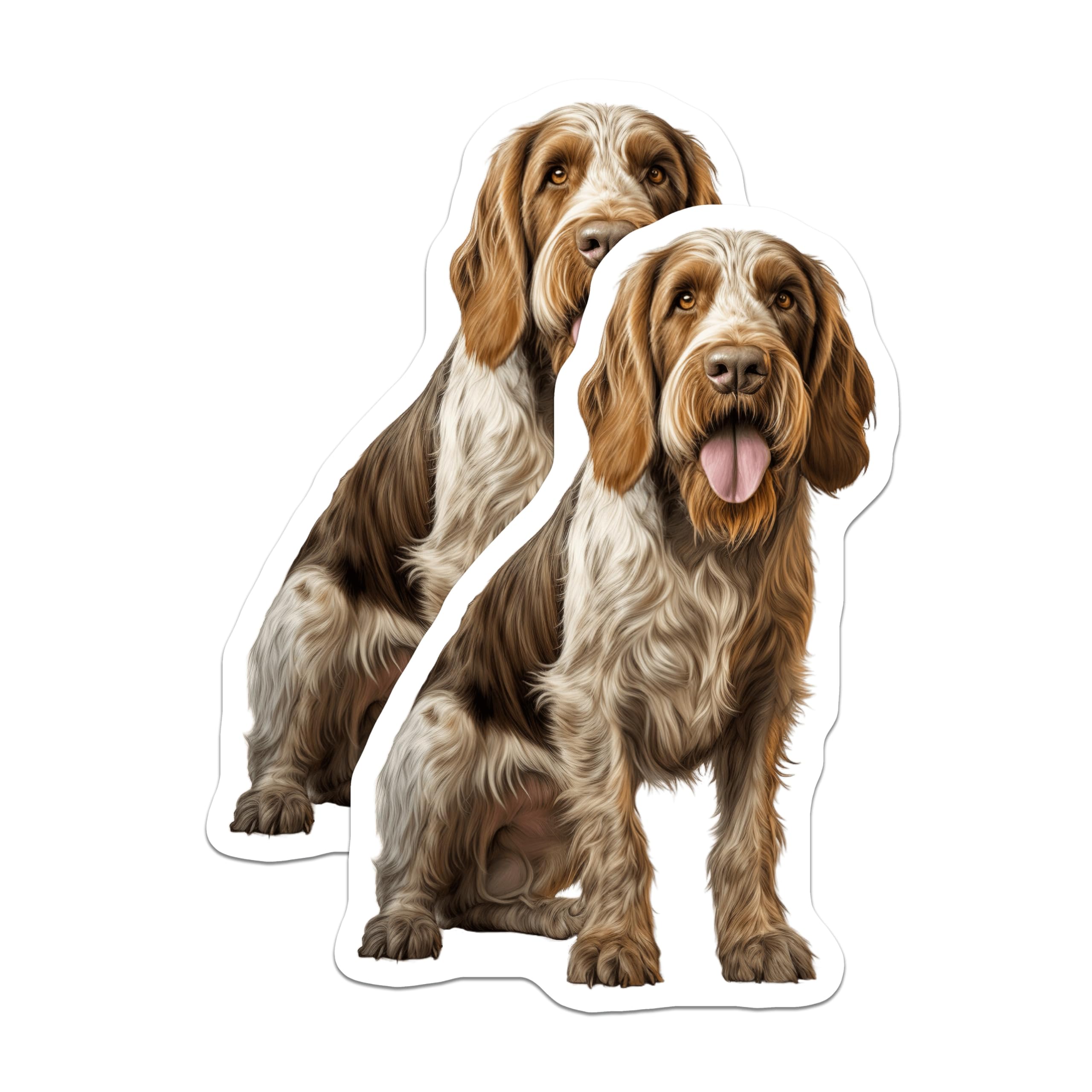 (2 Pack) Spinone Italiano Magnets - Authentic Italian Wirehaired Dog Breed Art - Canine Pet Lover Refrigerator Decor - 5 Inches On Longest Side - Thick Durable Magnet - Made in USA - MAG24708