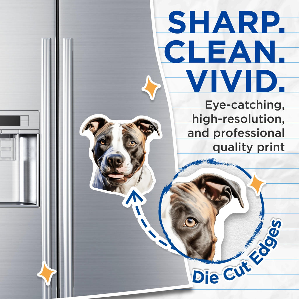 (2 Pack) American Staffy Magnets - Pitbull Dog Decor - Realistic Staffy Art - Dog Mom Accessories - Pet Parent Home Decor - 5 Inches On Longest Side - Thick Durable Magnet - Made in USA - MAG25776