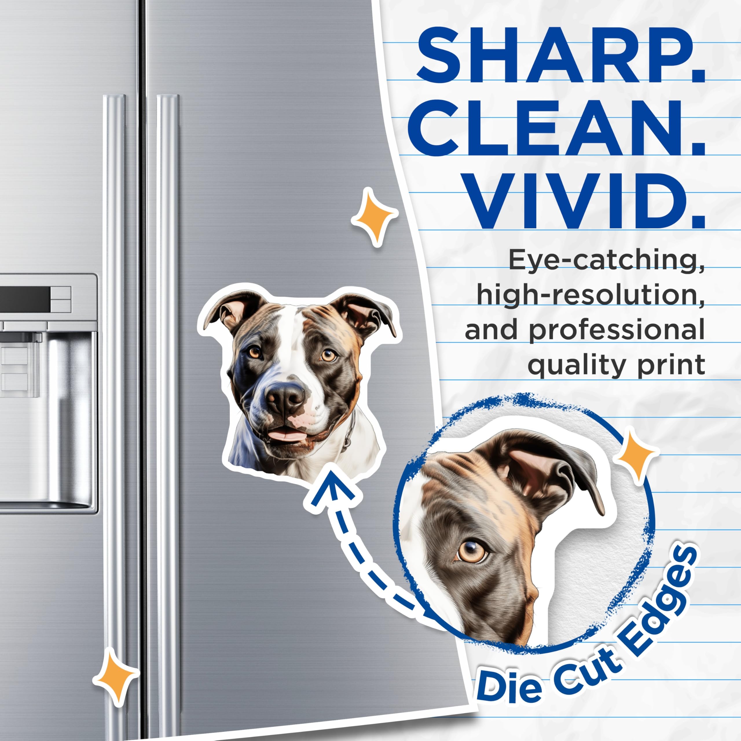 (2 Pack) American Staffy Magnets - Pitbull Dog Decor - Realistic Staffy Art - Dog Mom Accessories - Pet Parent Home Decor - 5 Inches On Longest Side - Thick Durable Magnet - Made in USA - MAG25776
