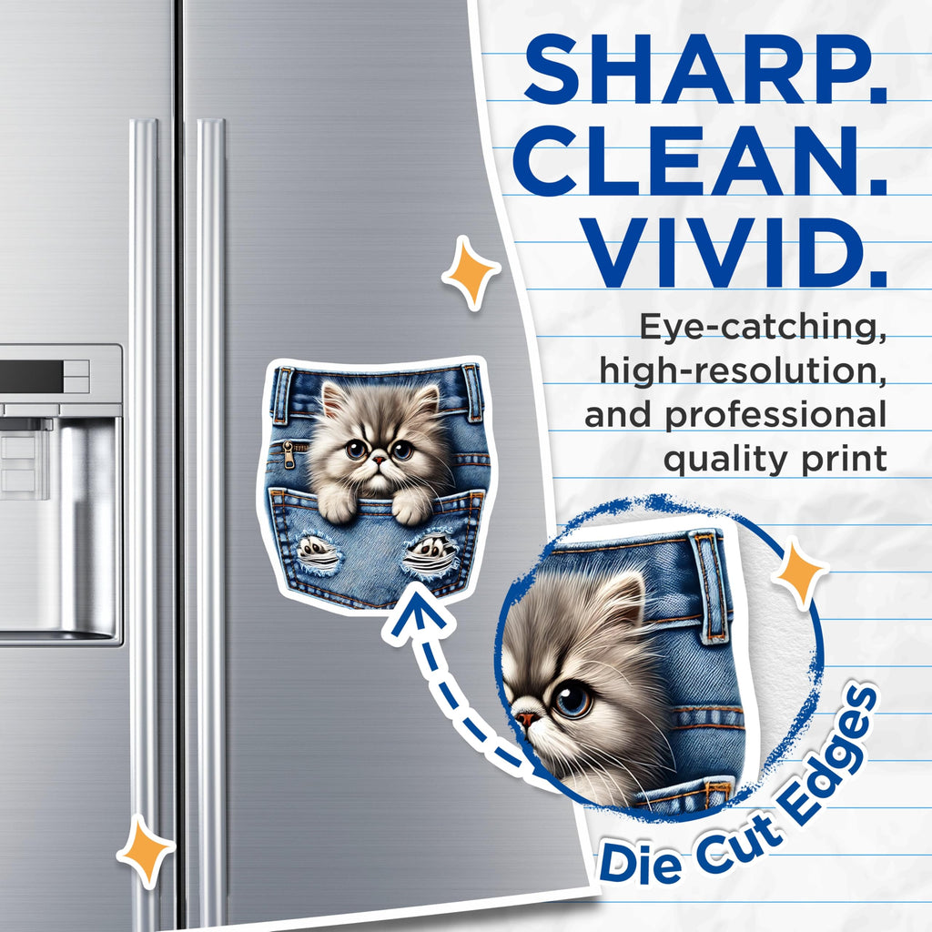 (2 Pack) Cute Cat Magnets - Pocket Kitten - Fridge Decor - 5" On Longest Side - Premium Magnet - for Cars, Refrigerators, Toolboxes, Lockers - Made in USA - MAG16208