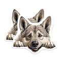 (2 Pack) Animal Lover Magnet - Woodland Animal Decor - 5" On Longest Side - Sticks to Smooth Flat Surfaces - Made in USA - MAG10236