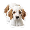 (2 Pack) Adorable Puppy Magnets - Dog Lover Decor - Pet Owner Refrigerator Magnets - 5 Inches On Longest Side - Thick Durable Magnet - Made in USA - MAG25365